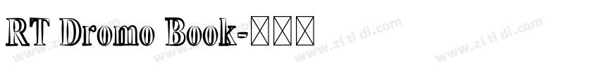 RT Dromo Book字体转换